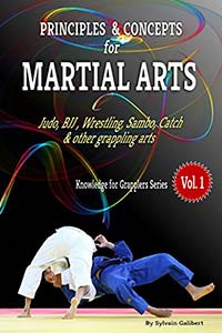 Principles and concepts for Martial Arts